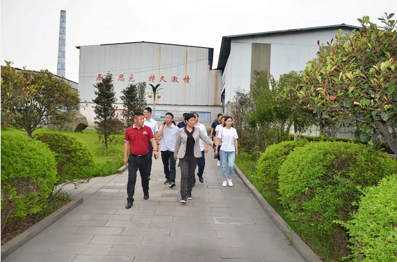 泸州华体会在线官网玻璃公司.png 泸州华体会在线官网玻璃公司.png