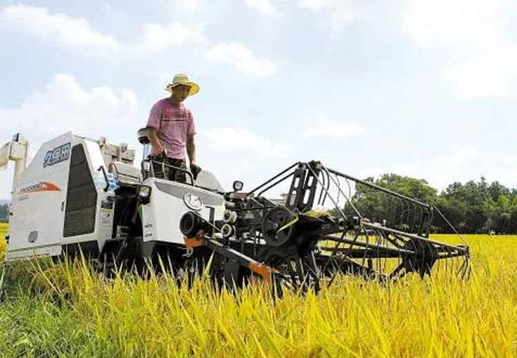 华体会在线官网集团开展“我为收割队伍送清凉”慰问活动